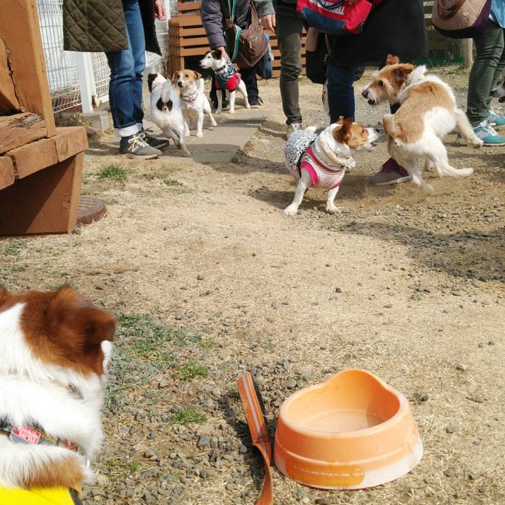 F963e294 fa83 4621 a1d2 a915a0e48f92 1519564327377