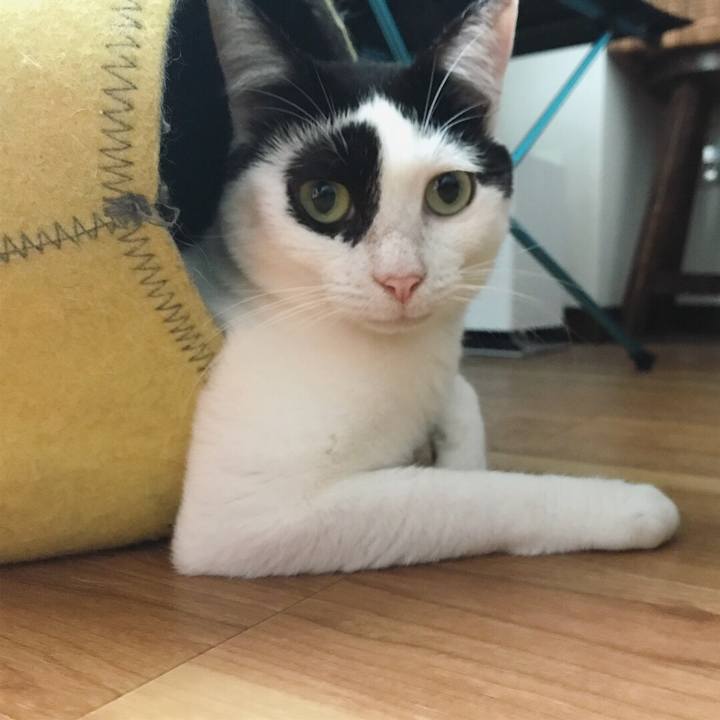 F964026d 1f94 45c1 9eba af88d0bbe025 1531091282263