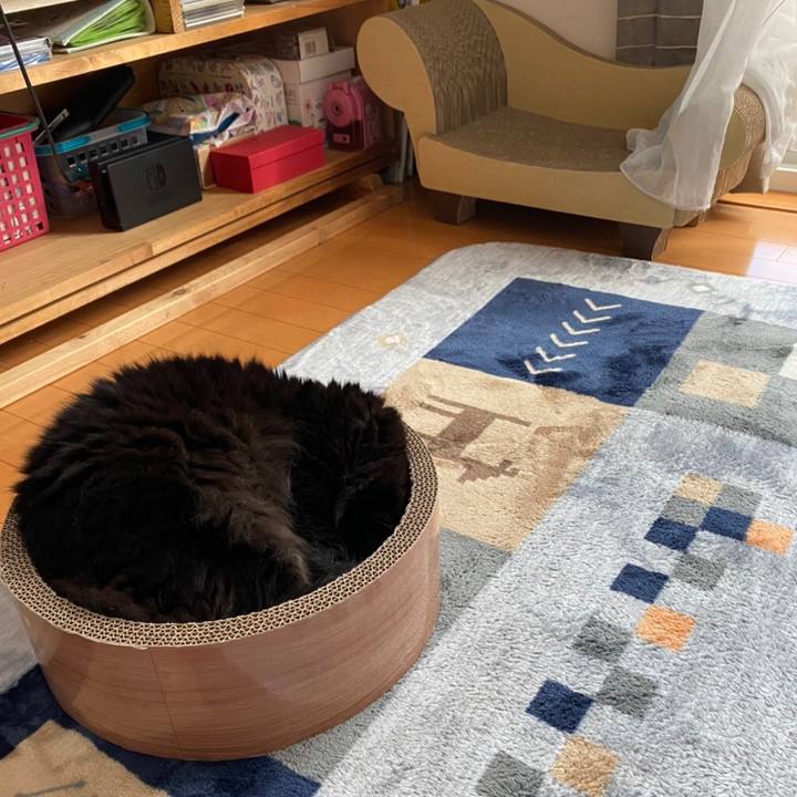 F9642931 3145 486d ae16 e21a68d9072d 1590400573248