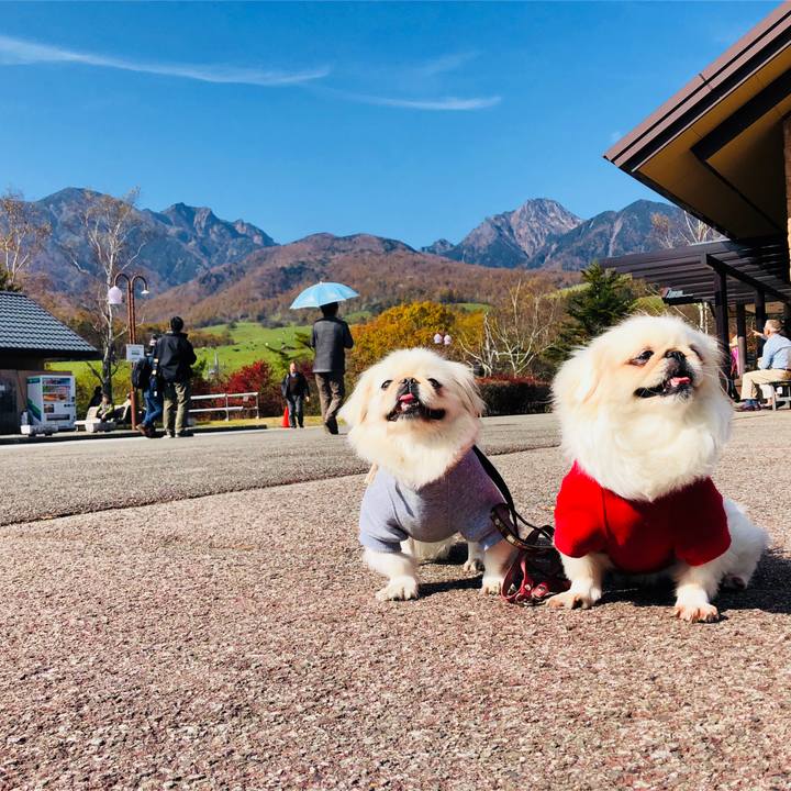 F9642a9d d5e2 4b7c 8668 0199e7ab80a1 1572870991175