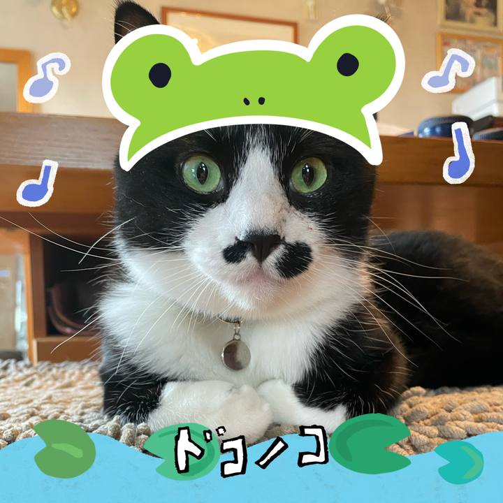 F9642c9d 842a 4263 83e9 ab41b855b158 1717560398492