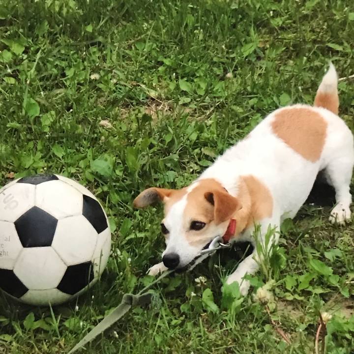 F964529a b127 4239 8b29 991a7a8c09fd 1575294919375