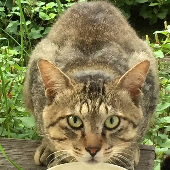 F9647651 821e 4a04 ad68 93233264c2d1 1654699471305