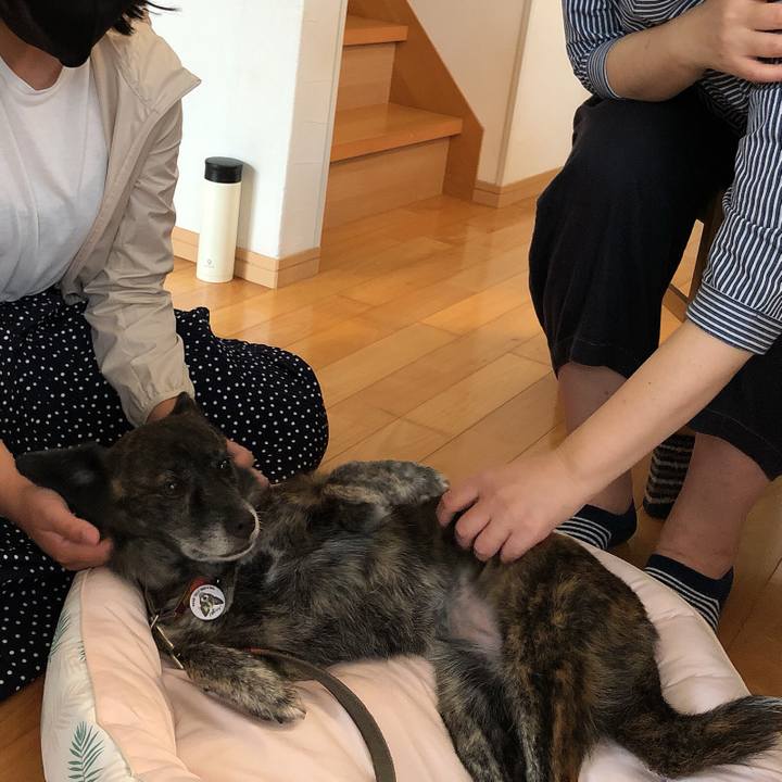 F9647915 eb96 4cb5 9b62 c1eaadaae481 1596798069860