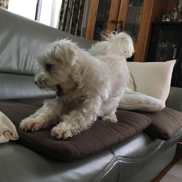 F96480e3 4d21 4752 abf2 4b380039f315 1552812808088