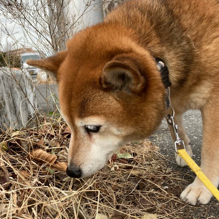 F9648ccb 573e 4d93 a7e0 230129d7cbc7 1644290590655