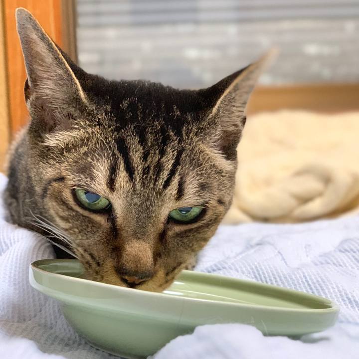 F9649e18 916f 40e3 abf5 52d513e98b49 1594776016470