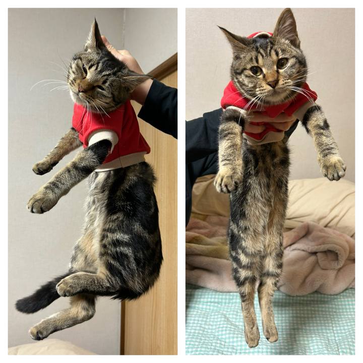 F964adc8 58e0 4975 8782 1843e57b8dfd 1738060157954