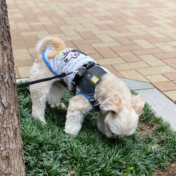 F964c54b 4a7a 4604 b799 60fcc6fa09ca 1572143612528