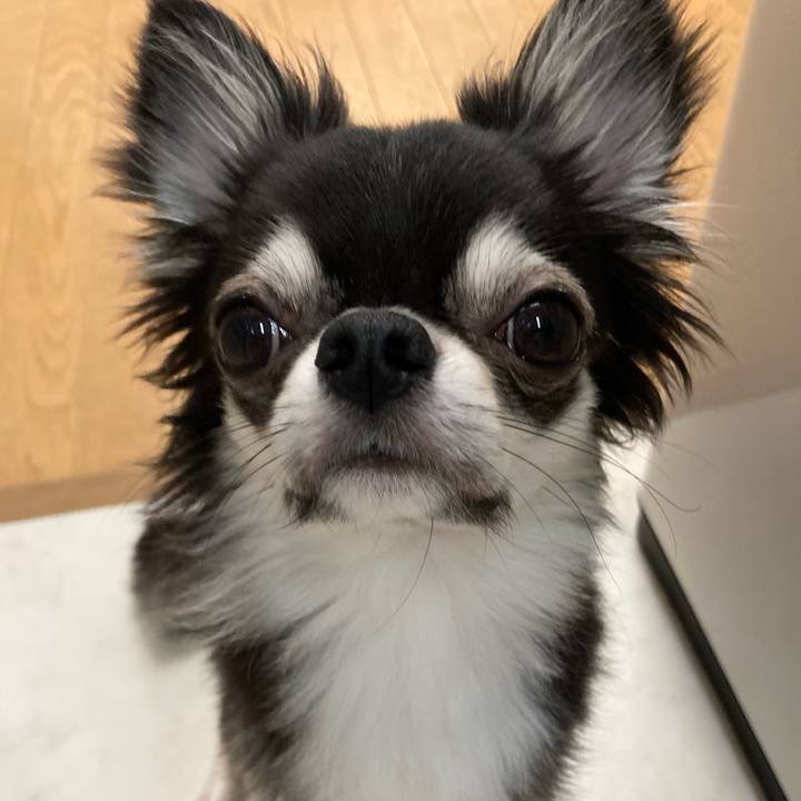 F9654654 6dbb 498b 8a8b 0e18385c0b0f 1631336080002