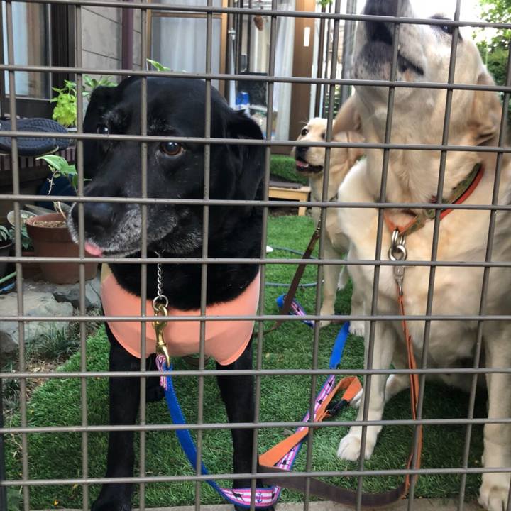 F9654bdd 653f 429c aeae 0997a1326a7b 1559575422772