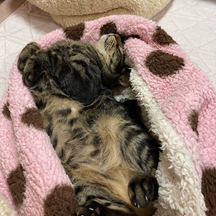 F9659aa8 0031 4ff9 8778 8e4c7ab99f39 1617836334971