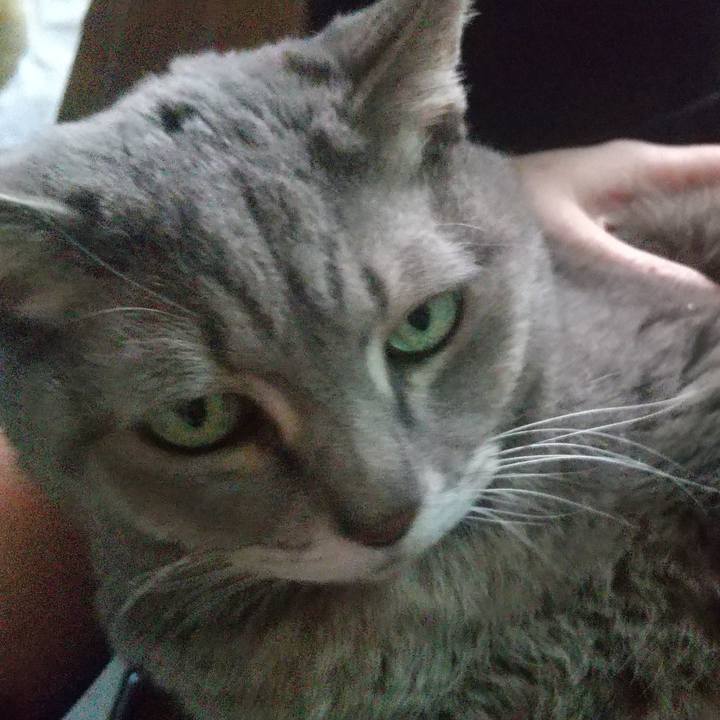 F965a80e 95cb 44f1 bca6 fe8170ddfd51 1640580767657