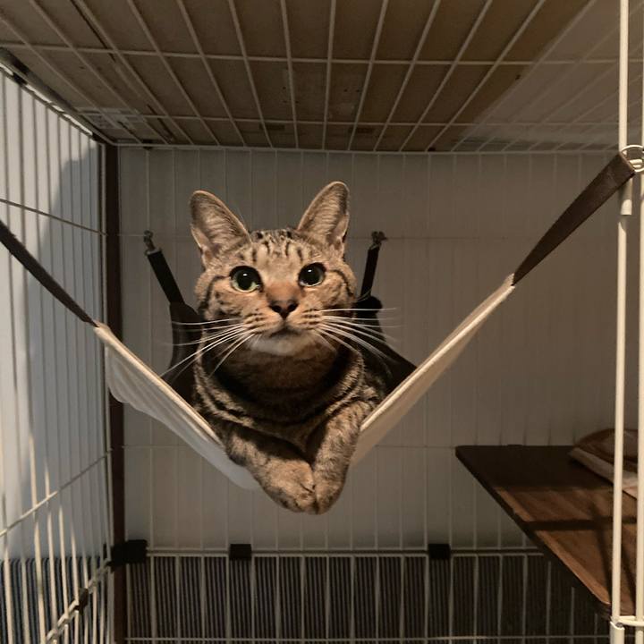 F965c026 236f 44f1 b9a5 7affc42e6f52 1692715154404