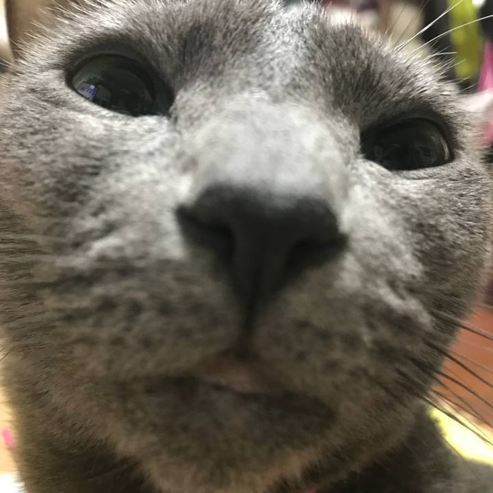 F9660aec 98a6 4b72 8d9d 839a435b5fcc 1518216188474