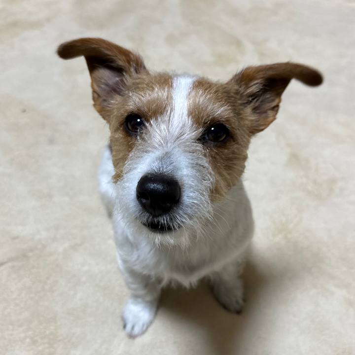 F96613d2 4a9e 4a6b 9478 487e20cbfaf1 1772573951974