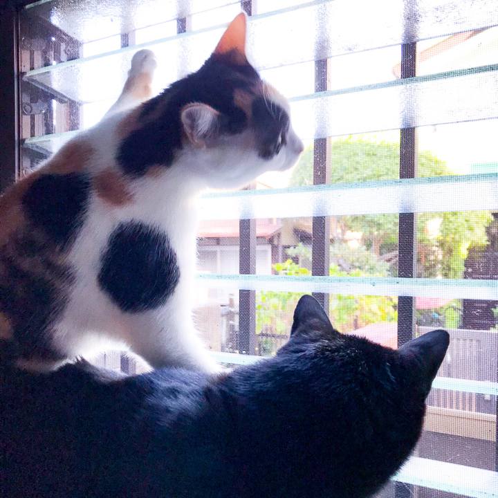 F9662bb5 2d10 46cc ad21 0ccc7bfc8ed8 1509151452241