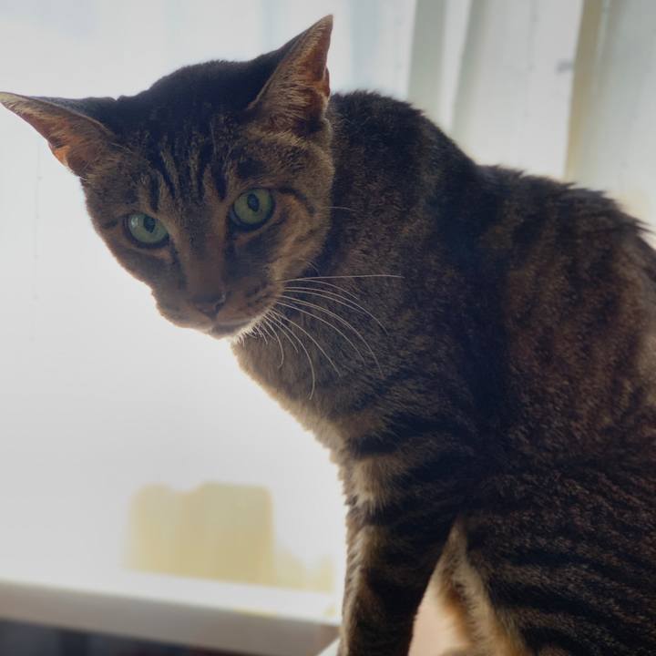 F9662c9a 01ff 4ccf a0a2 4eae2822f345 1598663970955