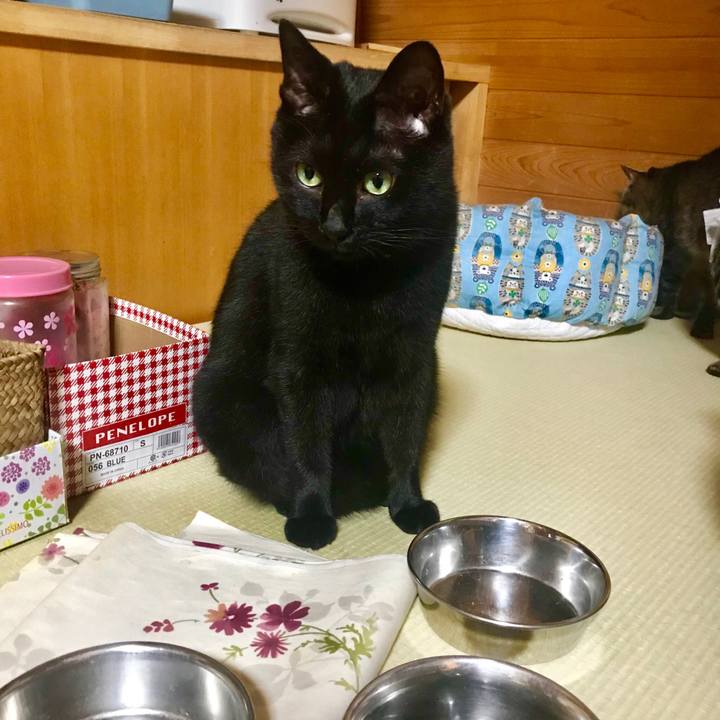 F9663433 39fe 4581 a691 975500e35027 1534683670992