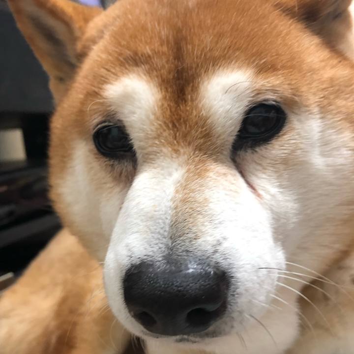 F9663e10 e776 4b75 8258 b48110c1ecc0 1547716844544