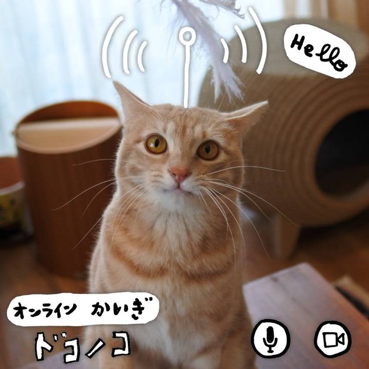 F9666f1e 3e71 4c2a ae03 b6504a3c7ca7 1590764320696