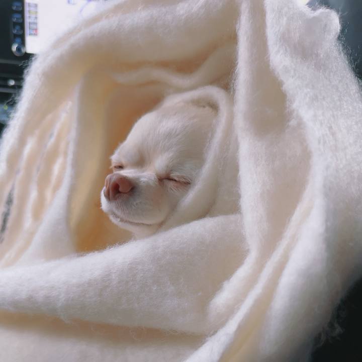 F96683e3 65f2 4f3f 9300 0d17fe67316b 1701087633812