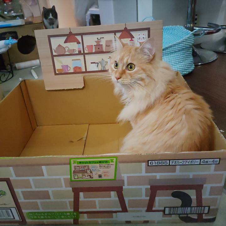 F9668b26 d70e 435f a295 c6140371b4c4 1684810407955