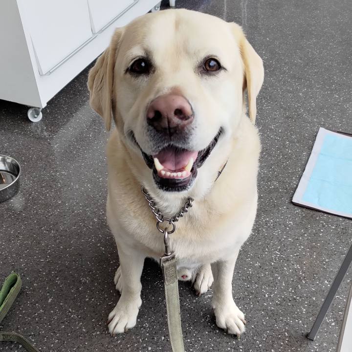 F966b3d2 2389 4cef ab9f 7e365c974adc 1645334060536