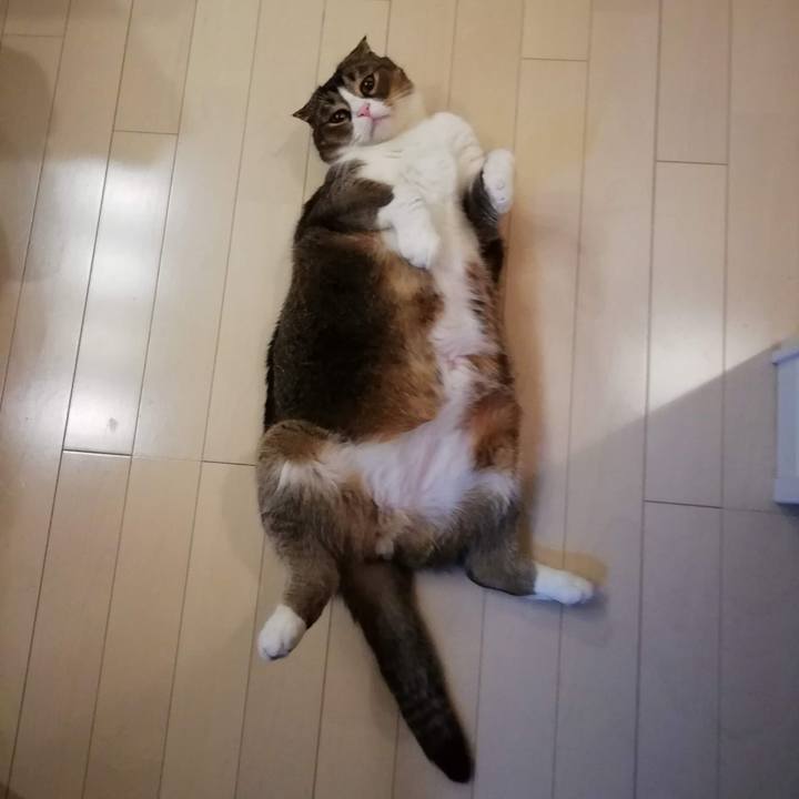 F96711a0 4060 4cb8 88f2 ef7f687dbbb4 1558793731243