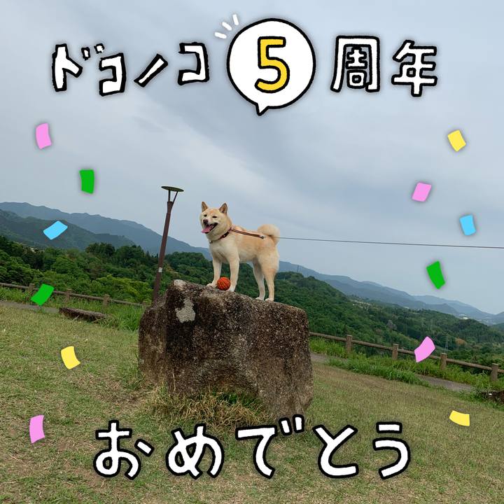 F967338f 5df0 4cf0 9507 95405cb35f0e 1622889360649