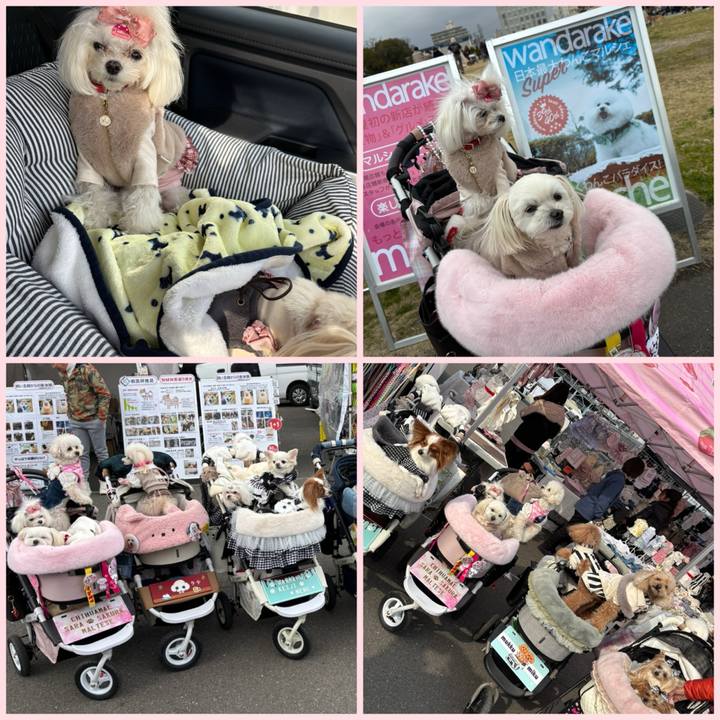 F967358f 6f71 44a0 9718 1ae66155fb5b 1741423705263