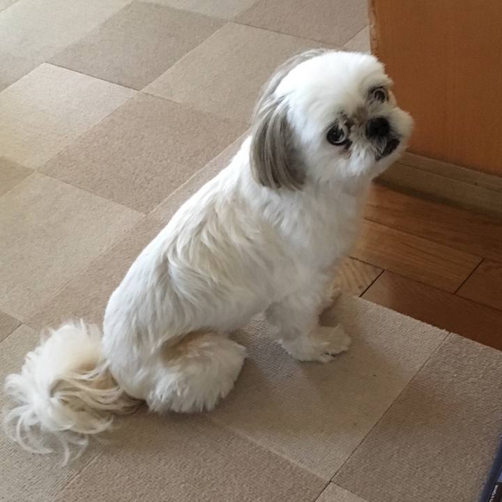 F9675c09 9dcb 4ff6 a93a 46191f26aace 1535178452363