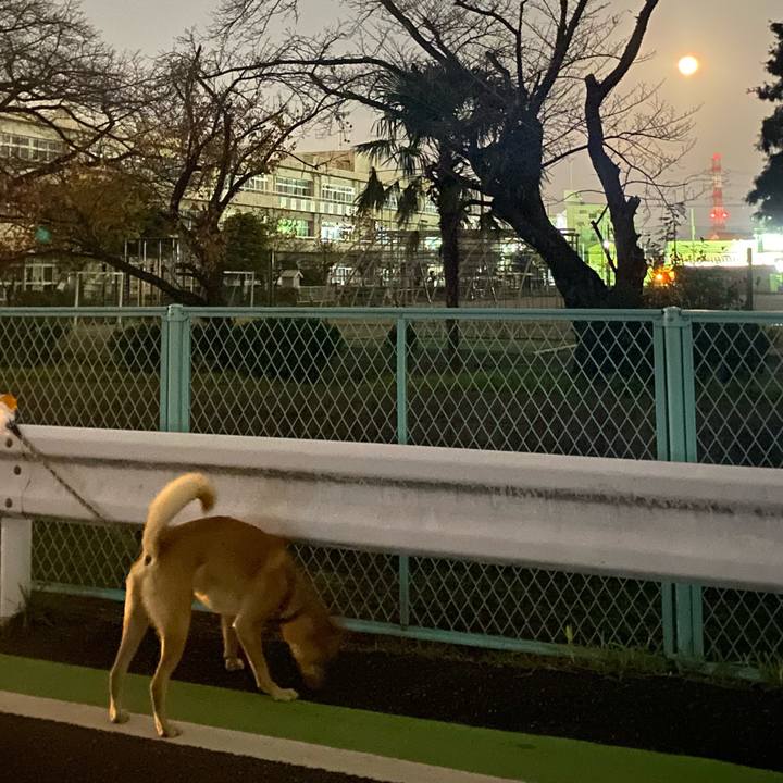 F96793ab 8632 4a3c 9285 4a4681b70382 1637413084391