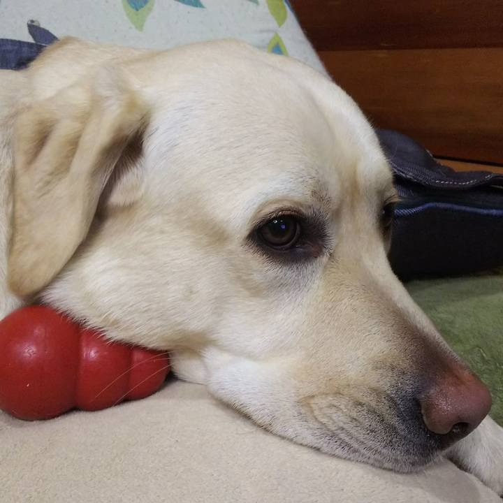 F967cc54 348b 4922 835b 4150569f0365 1517388833139