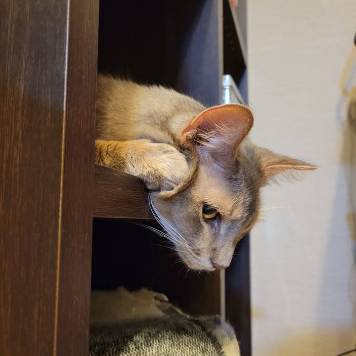 F967d21d 0978 4d49 89d6 65515280d003 1629801545151