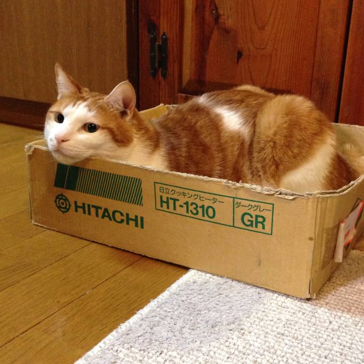 F967d81e f593 493b a95d cecf547deb48 1507726458032