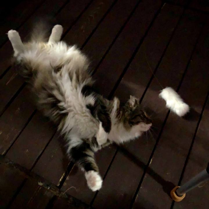 F9680a5a f6d3 4026 b9e0 df0b2c7e1885 1528726001280