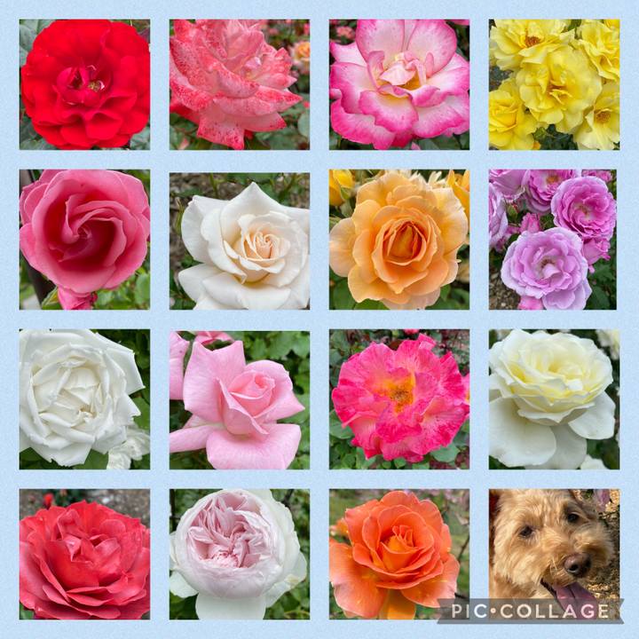 F96814e3 6263 4f0f a26c dc83cf4327ab 1655629508024