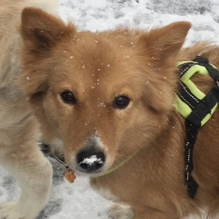 F9685c1f be37 4531 92e1 3299ab0d830a 1517540029029