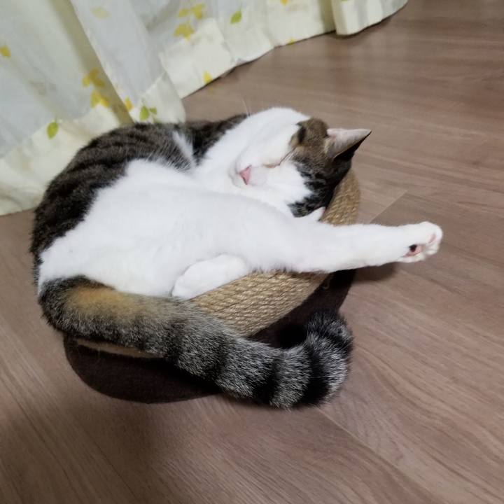 F9686643 fad2 469c 99db e3cb13a7ec03 1599105676180