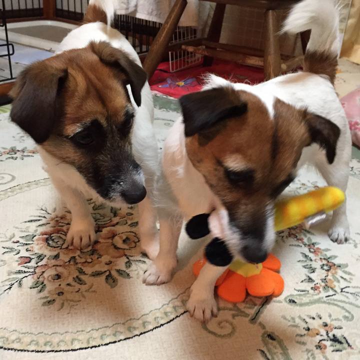 F9688e0b a7f1 48dd bfa5 225c48495698 1552999083437