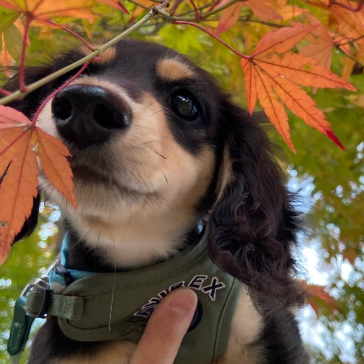 F9689668 38a8 44d5 961d 78a83ddbc3a8 1668906808910