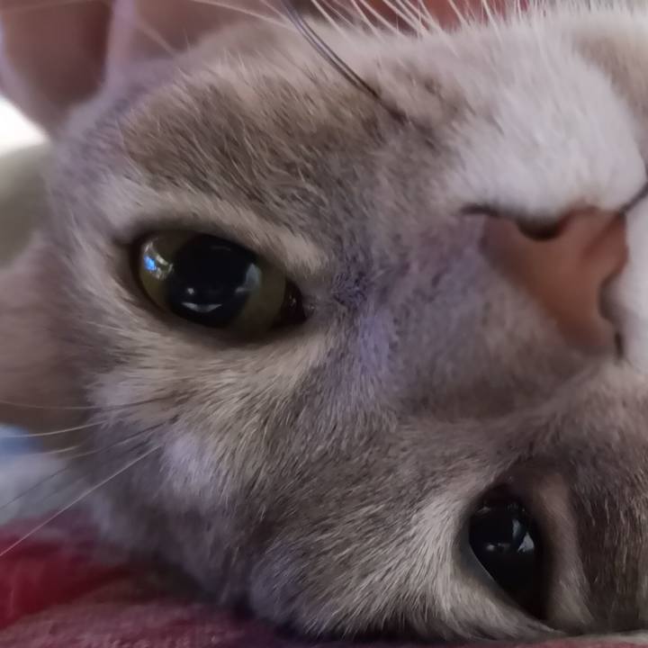 F968af4c 4b4a 42dc 9cb4 e3f8836224fa 1572444957740