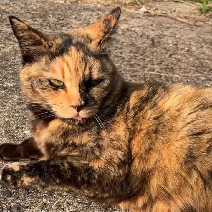 F968b16f d68e 4769 bf68 955149f1df75 1737441828906