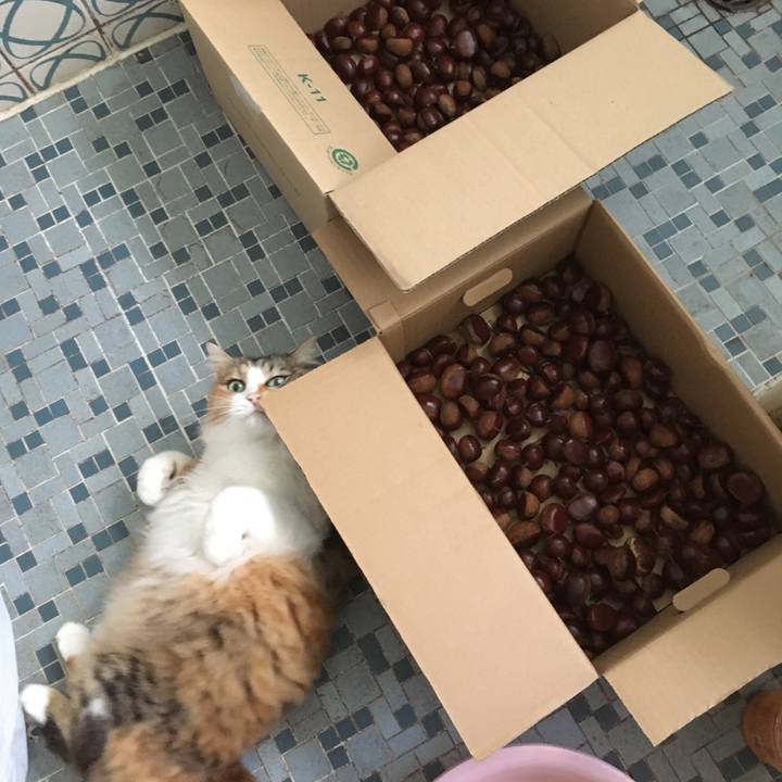 F968b458 4106 40f4 b88e e23d85fabcef 1553551157296