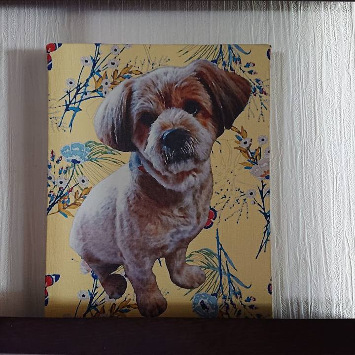 F968b57e 1757 466a b708 29cadebdf6a5 1592810314769