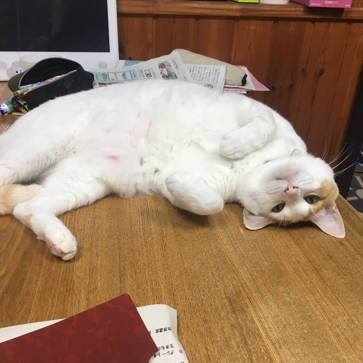 F968c1b6 25f4 4b70 9d06 3785dc54887e 1535634866956