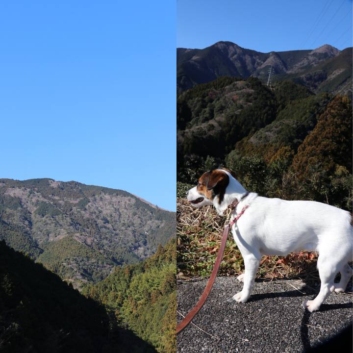 F968e0ee c0e4 4691 a05d fa28b7ffc086 1514953133679