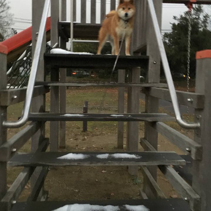 F9692d15 4406 49a4 ad5e 29188c471894 1546159373654