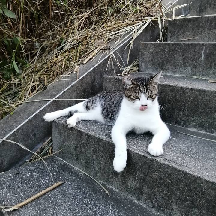 F96946e0 b802 49ad 8401 bf3eb3c2559a 1568114780191